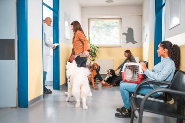 Multispecialty<br> Clinic